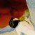 divine_mountain_dbp