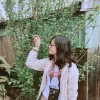 小豆