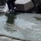喵