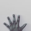 13 (DEMO)