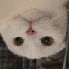 GGININDER