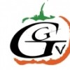 GG團隊