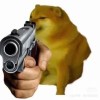 Goltrusky