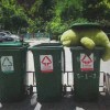 你会喜欢