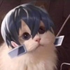 地鼠
