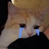 hc_2.15