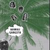 Hawaii Gangsta