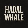 深海威爾Hadal_Whale