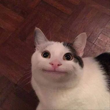 ＲＲＲＲＲＲＲＲ