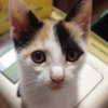 im_discobaby1212538