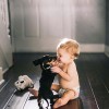 Honey_dachshund