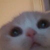 Hsh