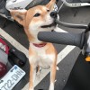 Hsuan__0321