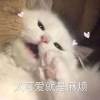 ʜᴜᴀɴɢ(•̀ᴗ•́)و