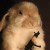 Lun@
