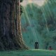 twilight_bird_ocd