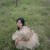 Phoebe