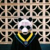 彥羽