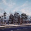 Am