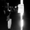 菜家園