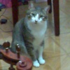 ITHY