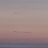 Irmach4