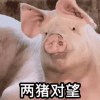 R均～～