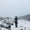 js_wu