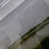 J_yn06