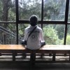 蘅皋暮