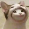 HWJ