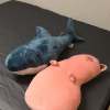 魚