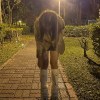 Jiawen_lai_