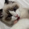 Jie_1027