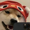 JinChen_