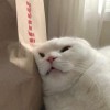 景三子