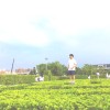 陳仲廷