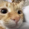 Jun