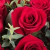 JupiterRose