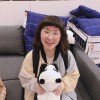 小蔡