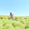 spring_butterfly_ay4