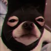 Kkkazz