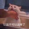 巧克力个球球
