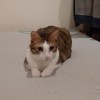 李智信