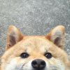 玥