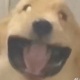 Kevin_sbb