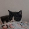 KEVN