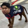 Kimoco