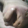 lakers