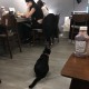 Long